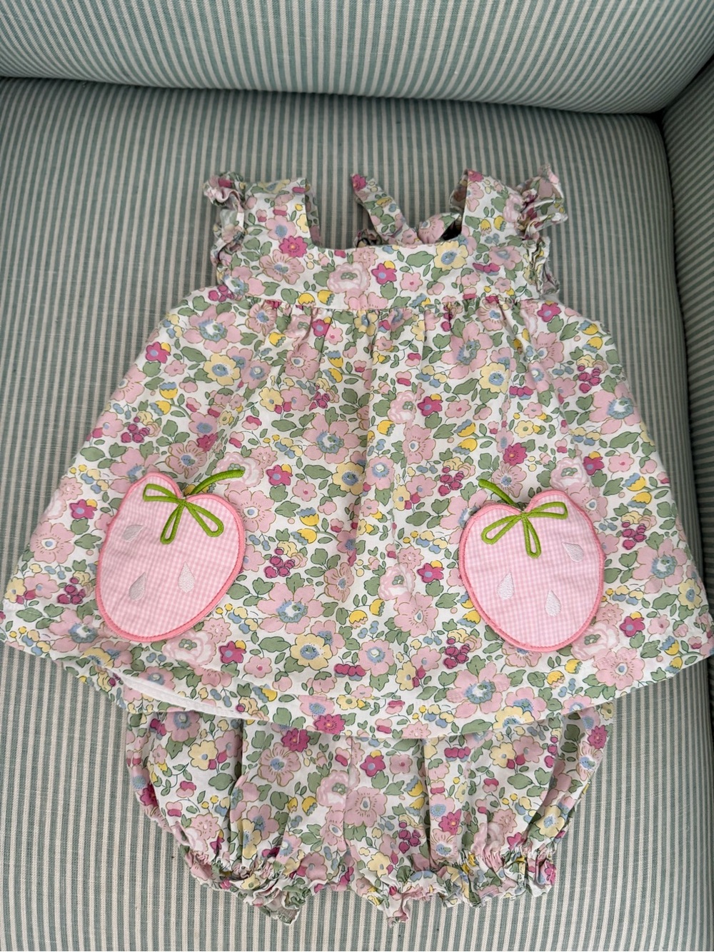 Stitchy Fish Floral Pink Strawberry Pocket Dress or Set - 18M